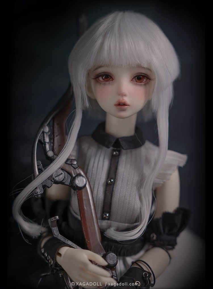 XAGADOLL / Aurora